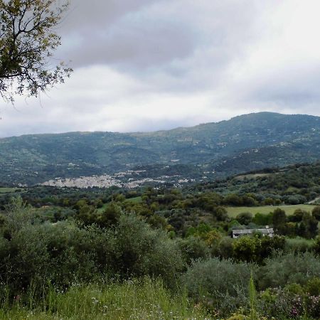 Appartamento Agriturismo Vigna De' Luceri Loceri Esterno foto