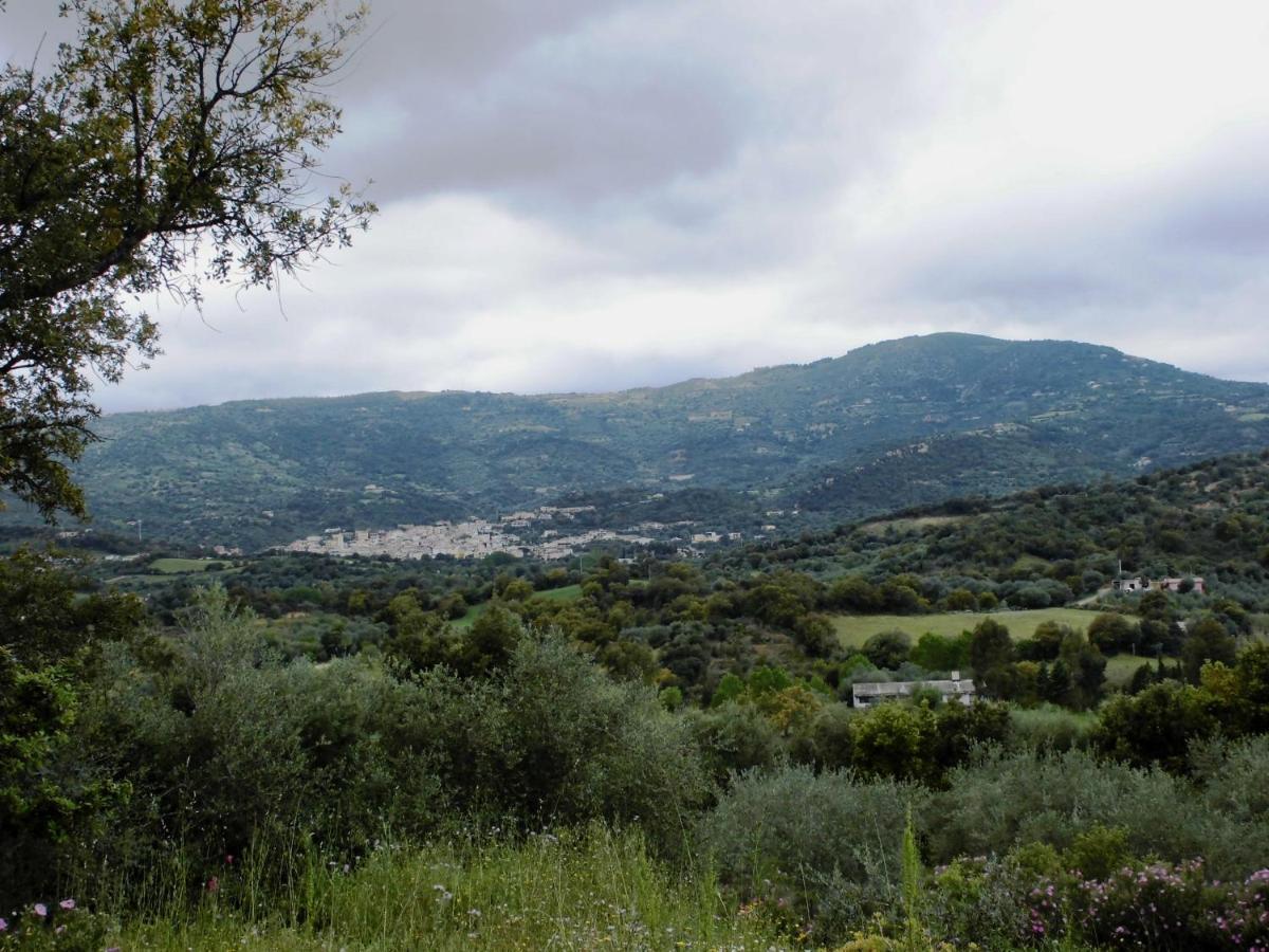 Appartamento Agriturismo Vigna De' Luceri Loceri Esterno foto