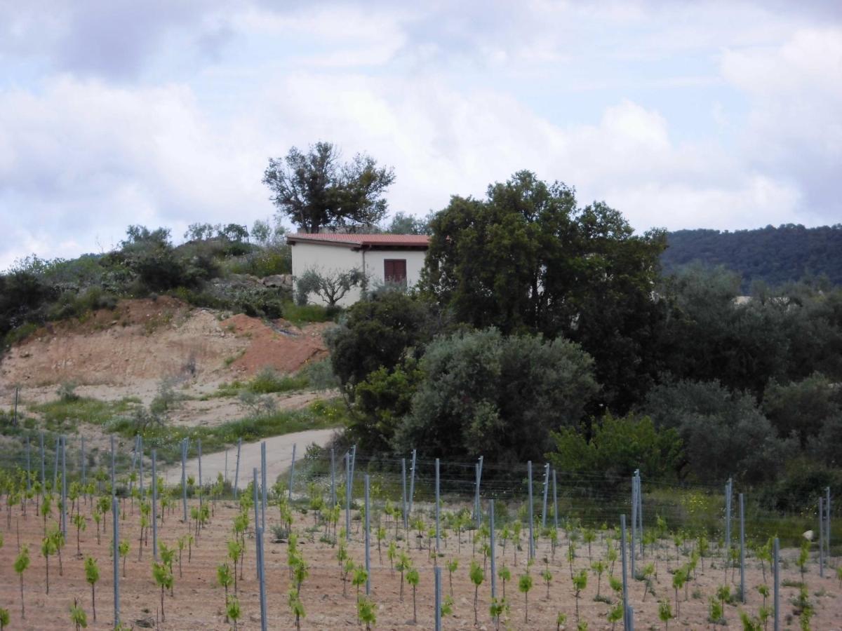 Appartamento Agriturismo Vigna De' Luceri Loceri Esterno foto